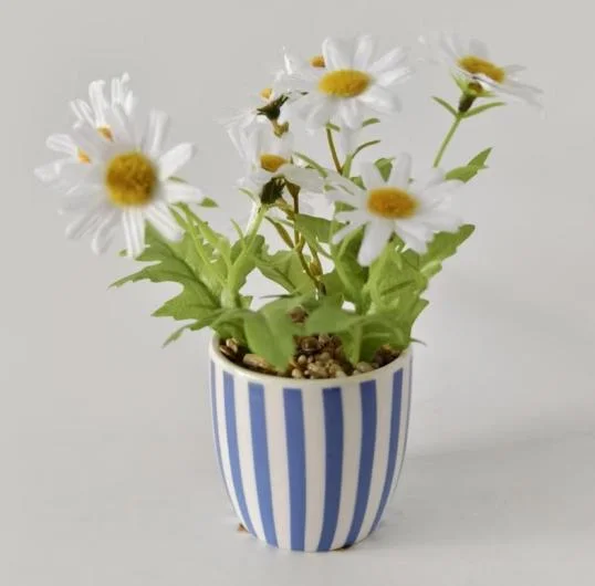 Daisy in Stripe Ceramic Pot