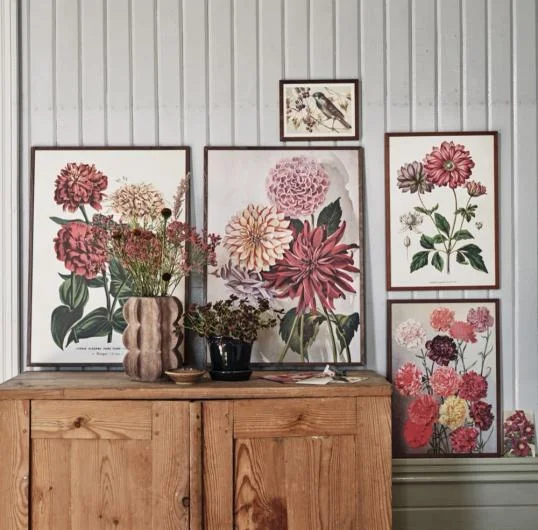 Botanical Cards and Posters