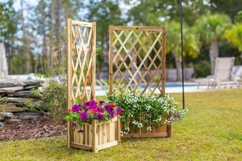 Acacia Wooden Trellis Planters