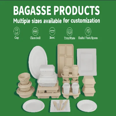 Bagasse Food Packaging Products