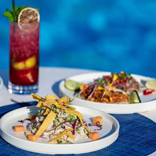 Dalebrook Poolside Melamine Tableware