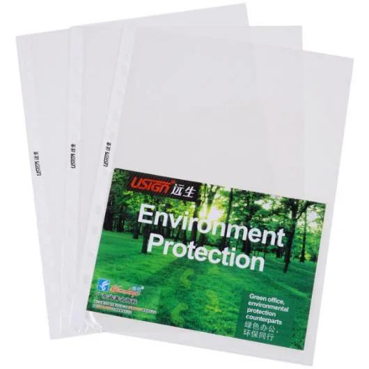 11 Hole Sheet Protector