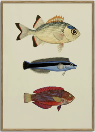 Dybdahl Fish Print