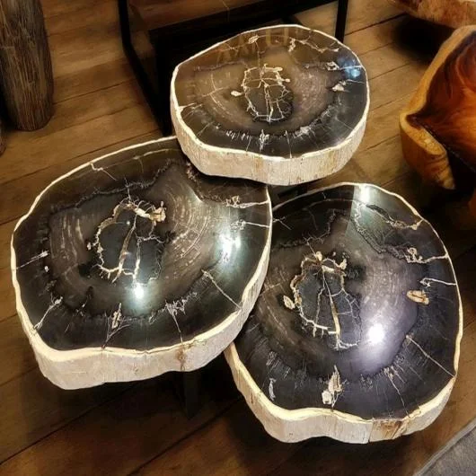 Petrified Wood Offee Tables