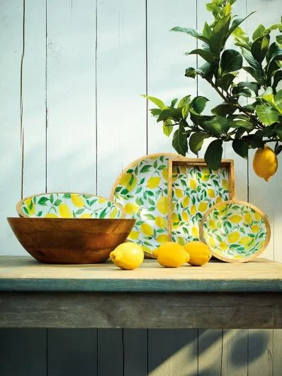 Mango Wood Series with Decor