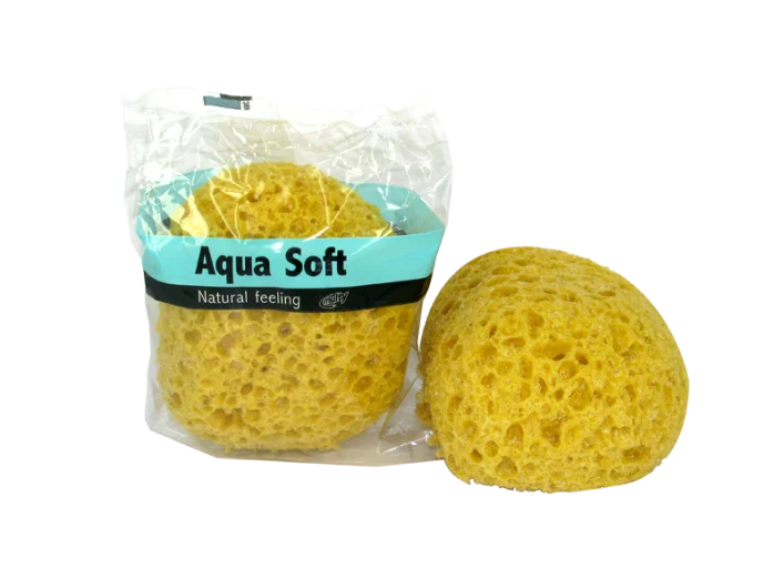 Cleaning Sponges Tool
