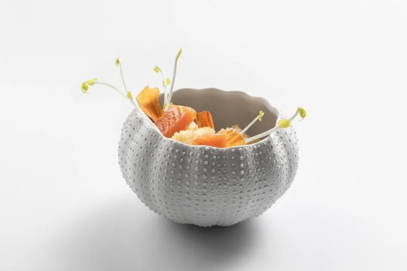 Mediterranean Textures Collection