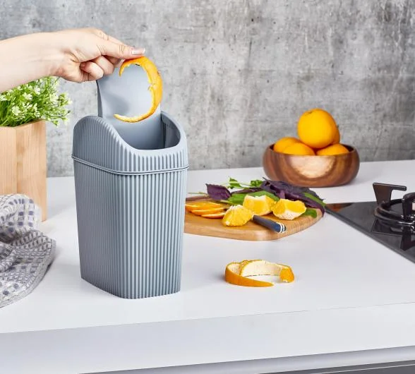 Plastic Dust Bin