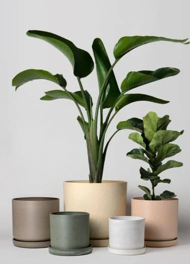 Global Base Premium Plant Pots