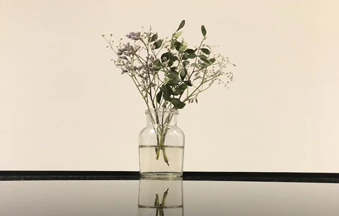Vitrocolor for Manufacturing Glass Packages